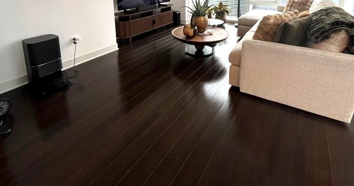 Dark hardwood floor in a Chicago high-rise living room, cleaned and clear